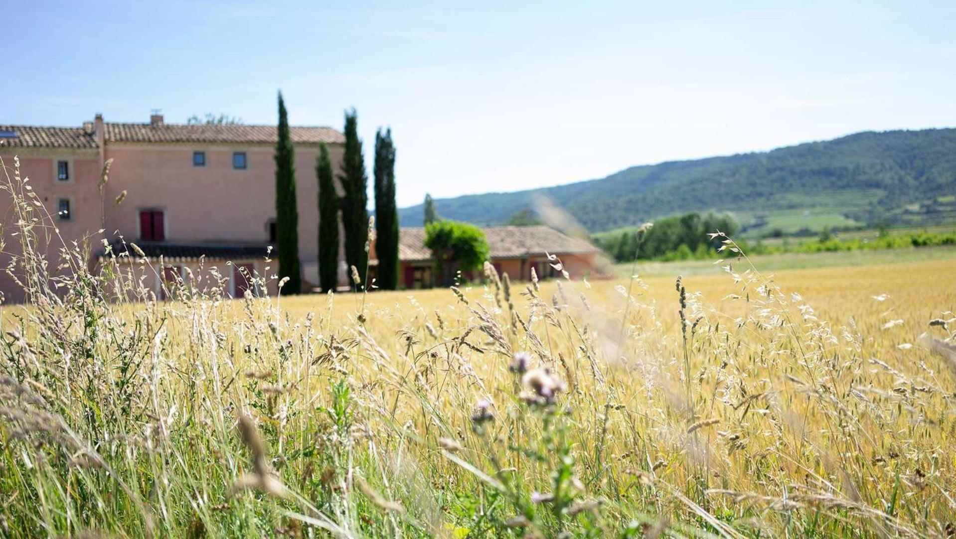 Alba-la-Romaine Chambres D'Hotes, B&B La Musardiere מראה חיצוני תמונה