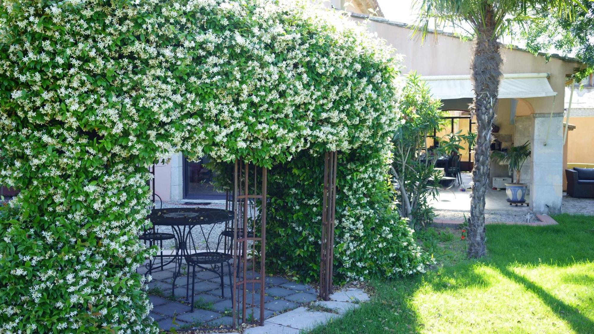Alba-la-Romaine Chambres D'Hotes, B&B La Musardiere מראה חיצוני תמונה